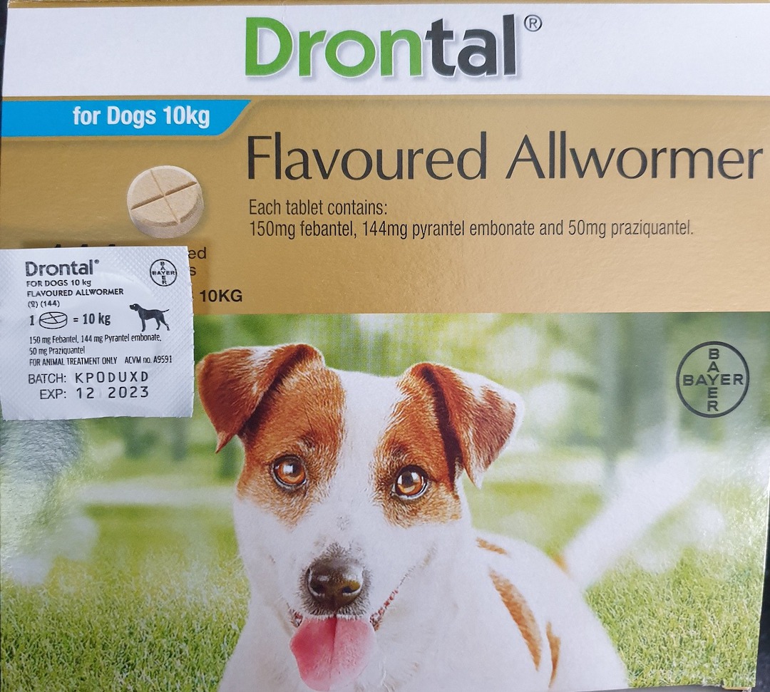 Drontal AllWormer for Dogs 5-10kg / 1 Tablet image 0